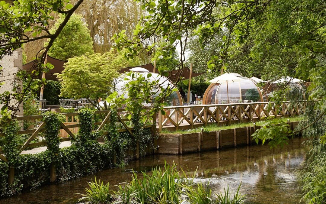 Wild Thyme & Honey Direct Bookings